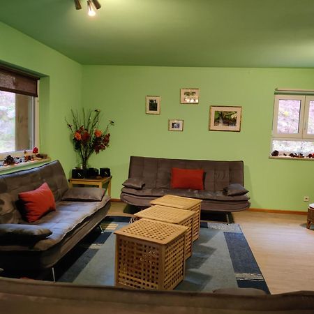 Ferienhaus Route 5 Elmstein Екстериор снимка
